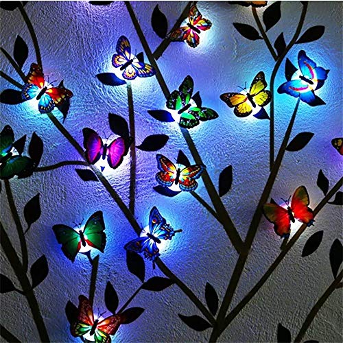 Color Changing Beautiful Butterfly